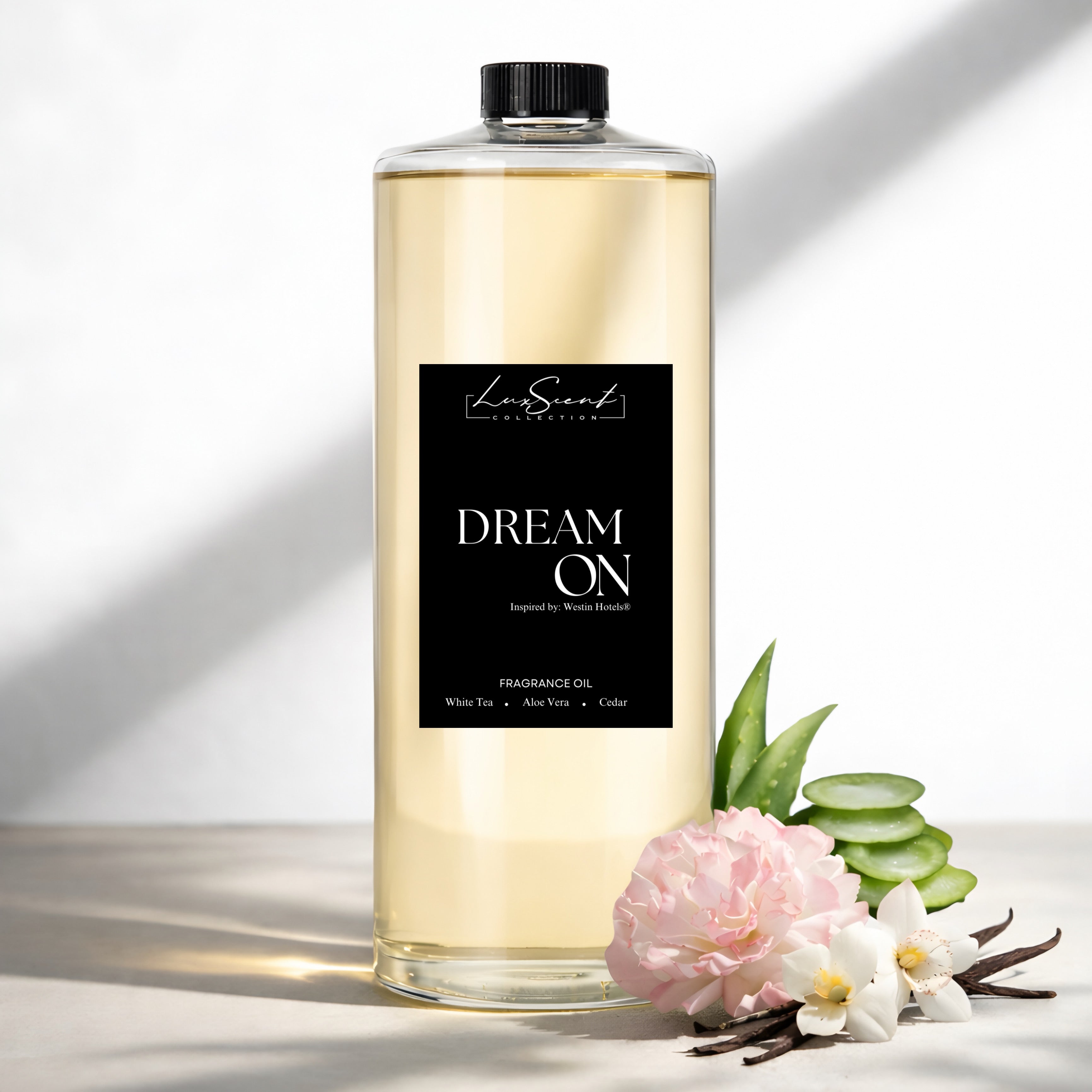 Dream On