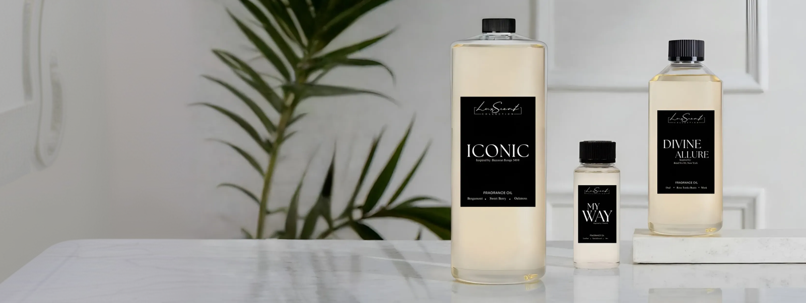 Breathe. Transform. Elevate.